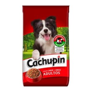 Cachupín Adulto