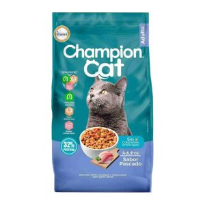 Champion Cat Adulto