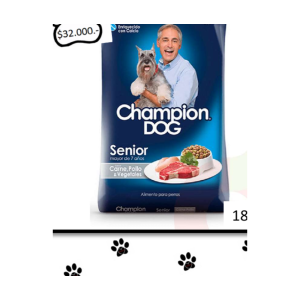 Champion Dog Senior